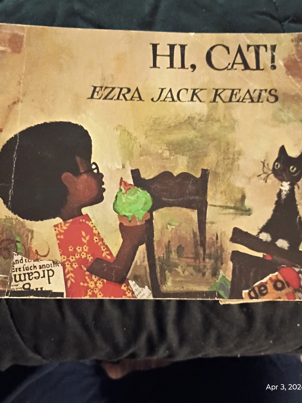 Hi, Cat! - Vintage Children’s Book (Black, Green)